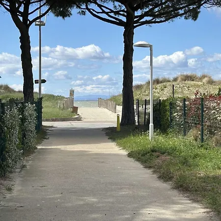 Studio Climatise A Port Camargue - 4 Couchages, Terrasse, Piscine, Parking, Proche Plage - Fr-1-250-9 דירה *